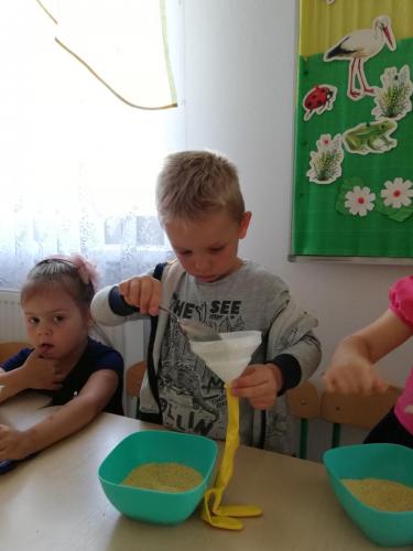 IMG 20190716 091355 (1)