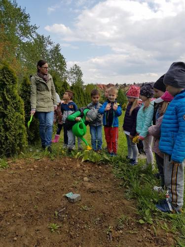 Jezusowe Skrzaty - w ogrodzie