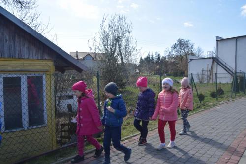 Grupa Kwiatki Bożej Matki po nasionka w sklepie