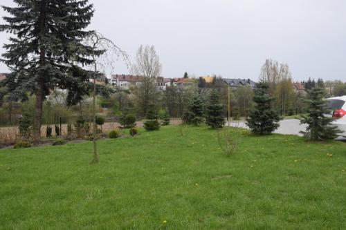 Sadzimy jarzynki - 2019r.